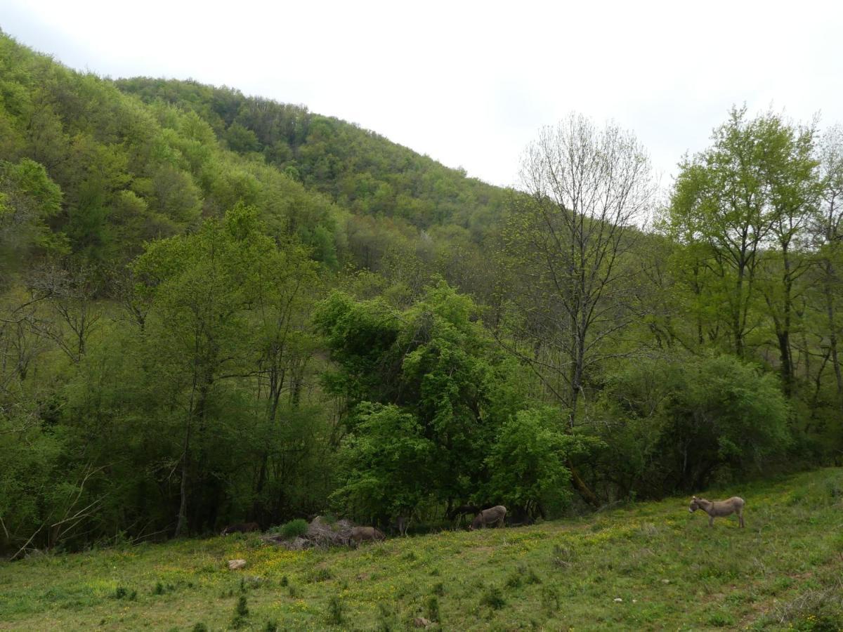 Source Nature Le Mas-d'Azil Luaran gambar