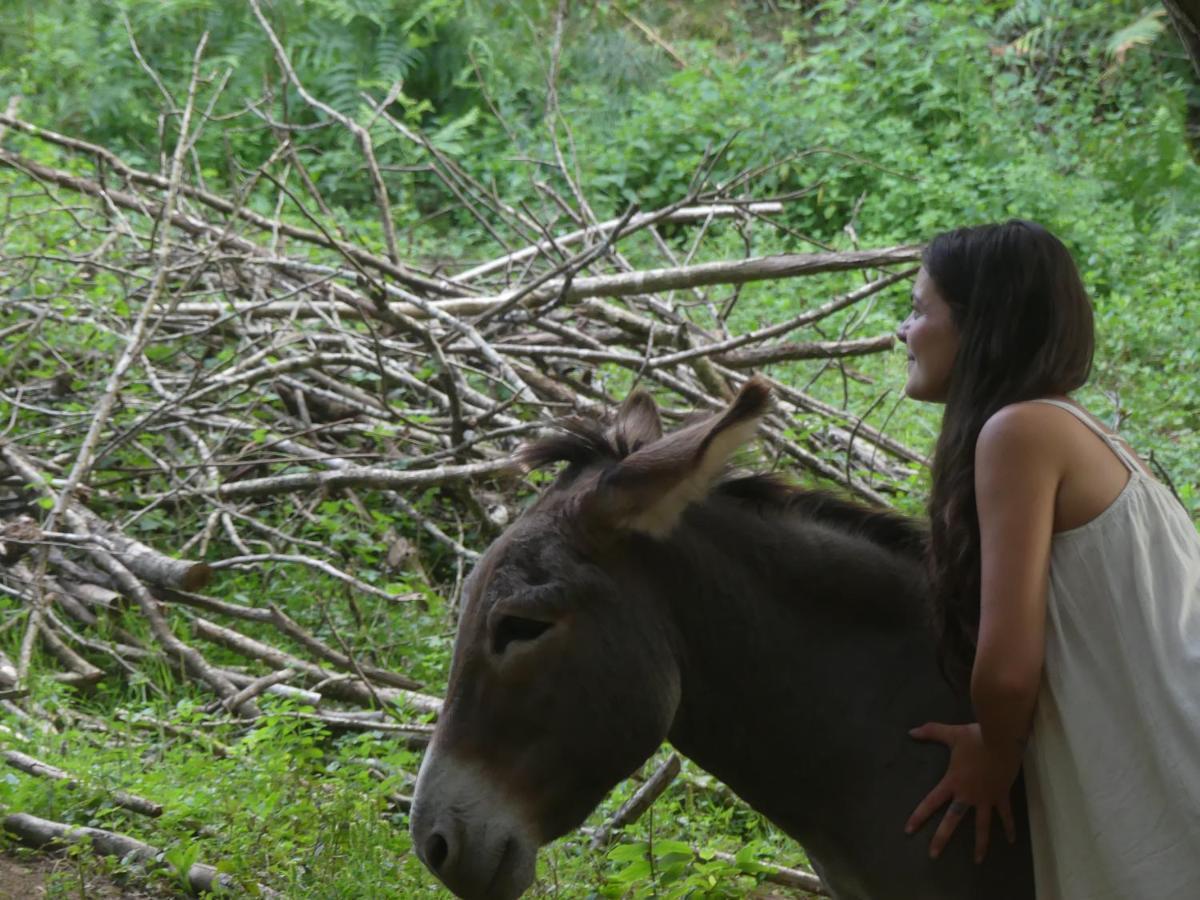 Source Nature Le Mas-d'Azil Luaran gambar