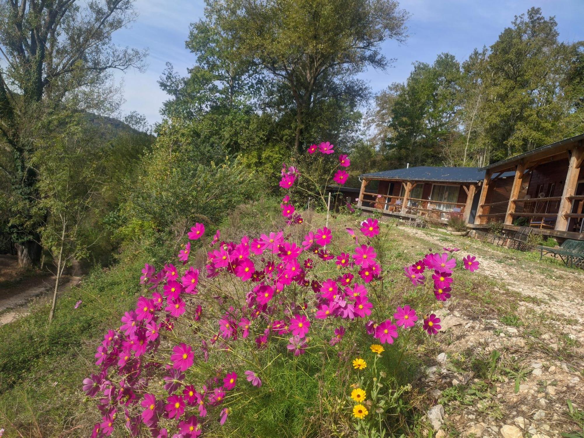 Source Nature Le Mas-d'Azil Bilik gambar